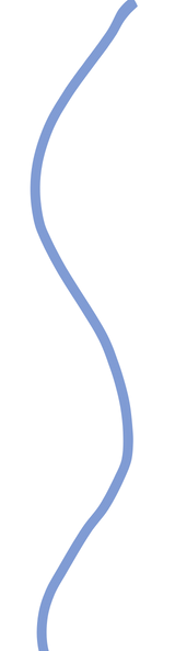 shape